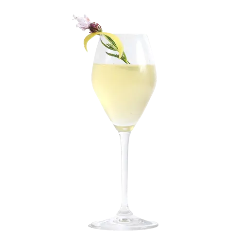 68-Elderflower Spritz-Free